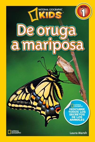 De oruga a mariposa | 9788482985619 | MARSH , LAURA