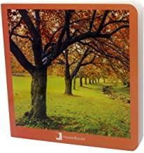 Otoño | 9788494585852 | Nowordbooks