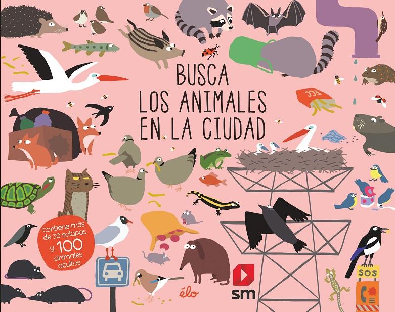 BUSCA LOS ANIMALES EN LA CIUDAD | 9788491829621 | Sarbacane,  Ediciones