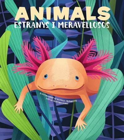 ANIMALS EXTRANYS I MERAVELLOSOS (VVKIDS) | 9788468270685 | Banfi, Cristina