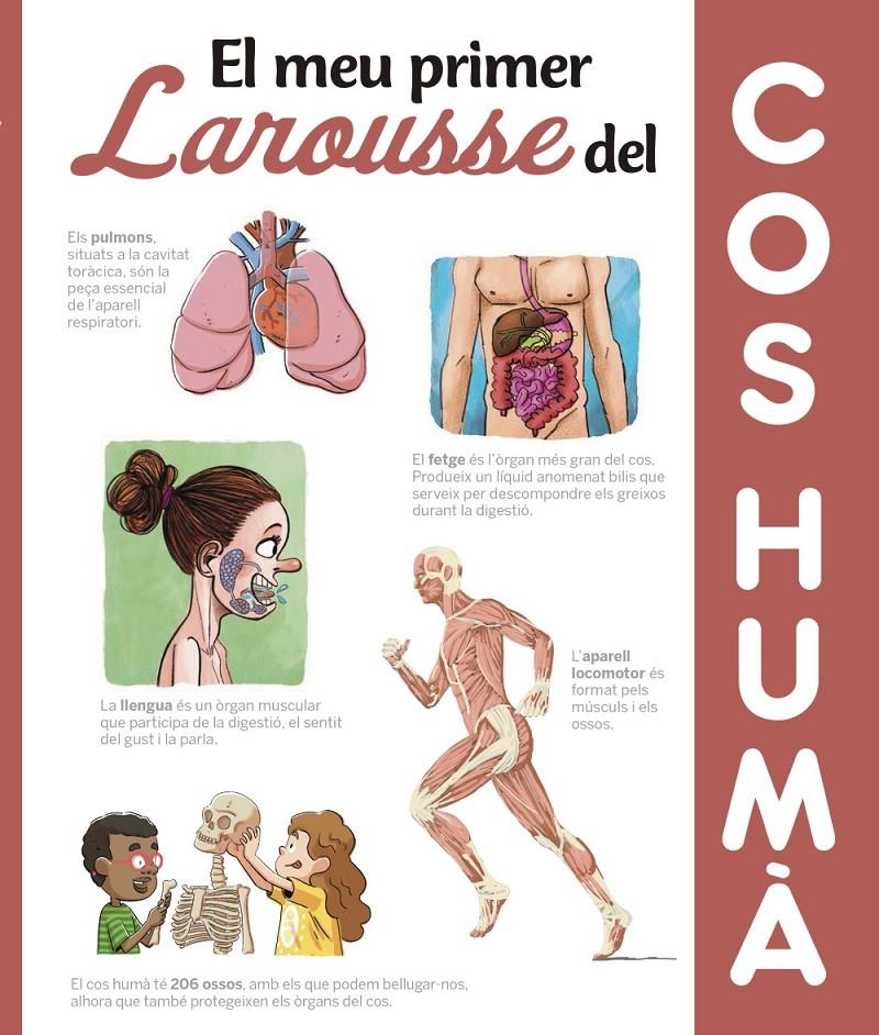 El meu primer Larousse del cos humà | 9788417273606 | Larousse Editorial