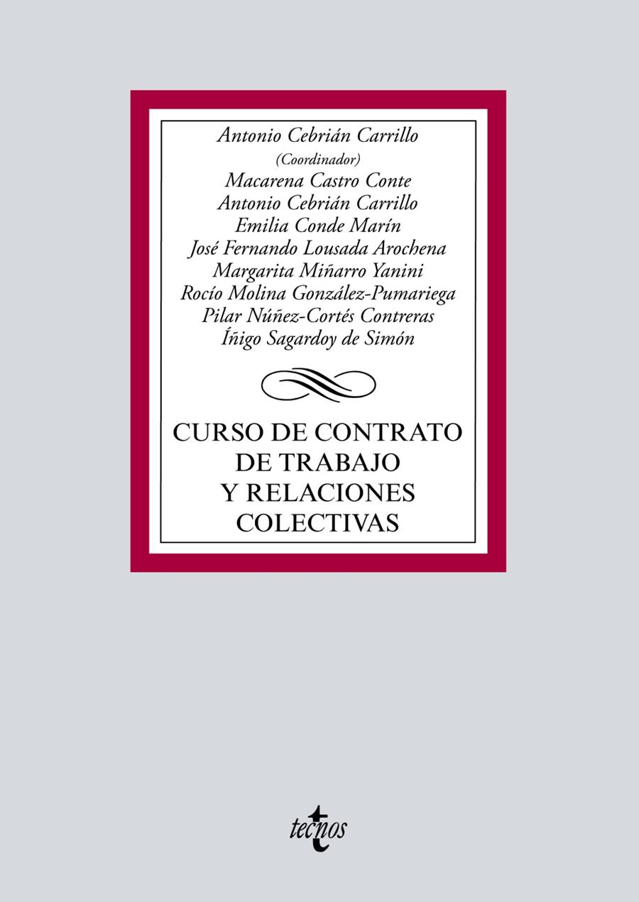 Curso de contrato de trabajo y relaciones colectivas | 9788430976034 | Cebrián Carrillo, Antonio/Castro Conte, Macarena/Conde Marín, Emilia/Miñarro Yanini, Margarita/Molin