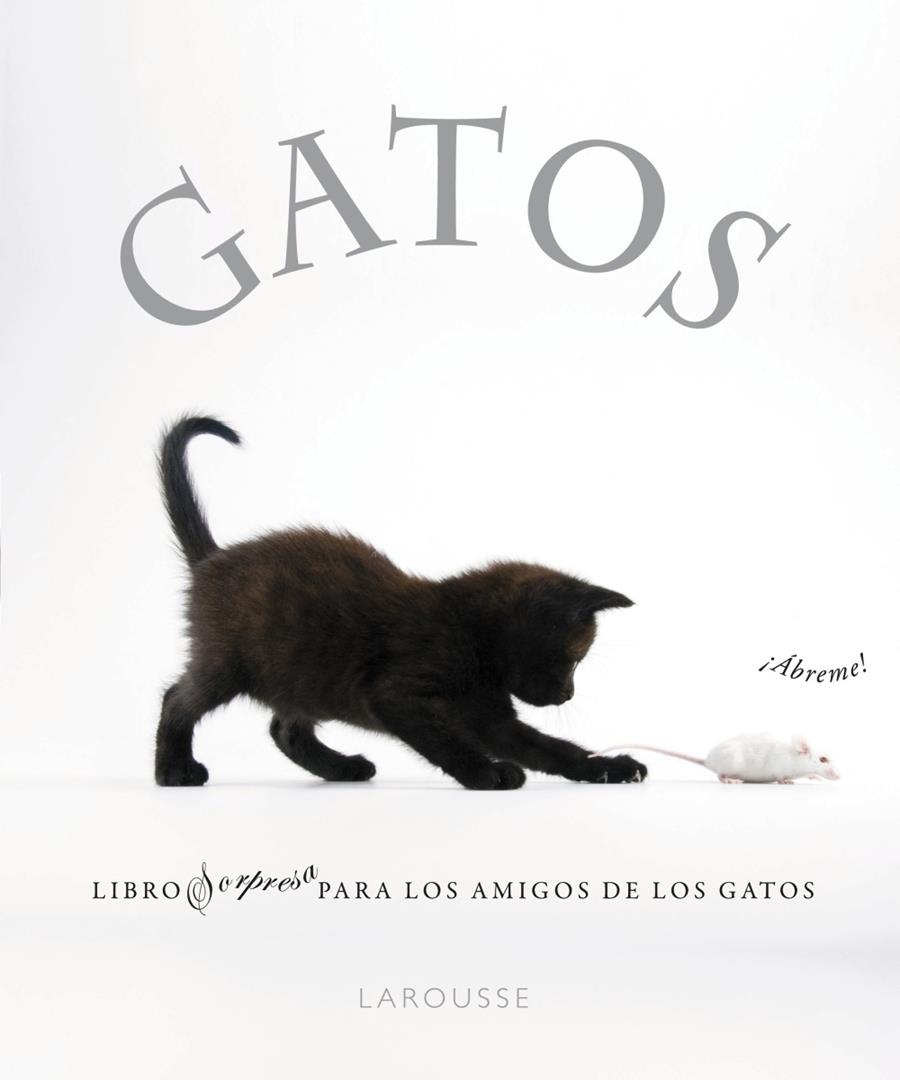 Gatos | 9788480169349