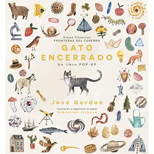 Gato encerrado | 9786078619177