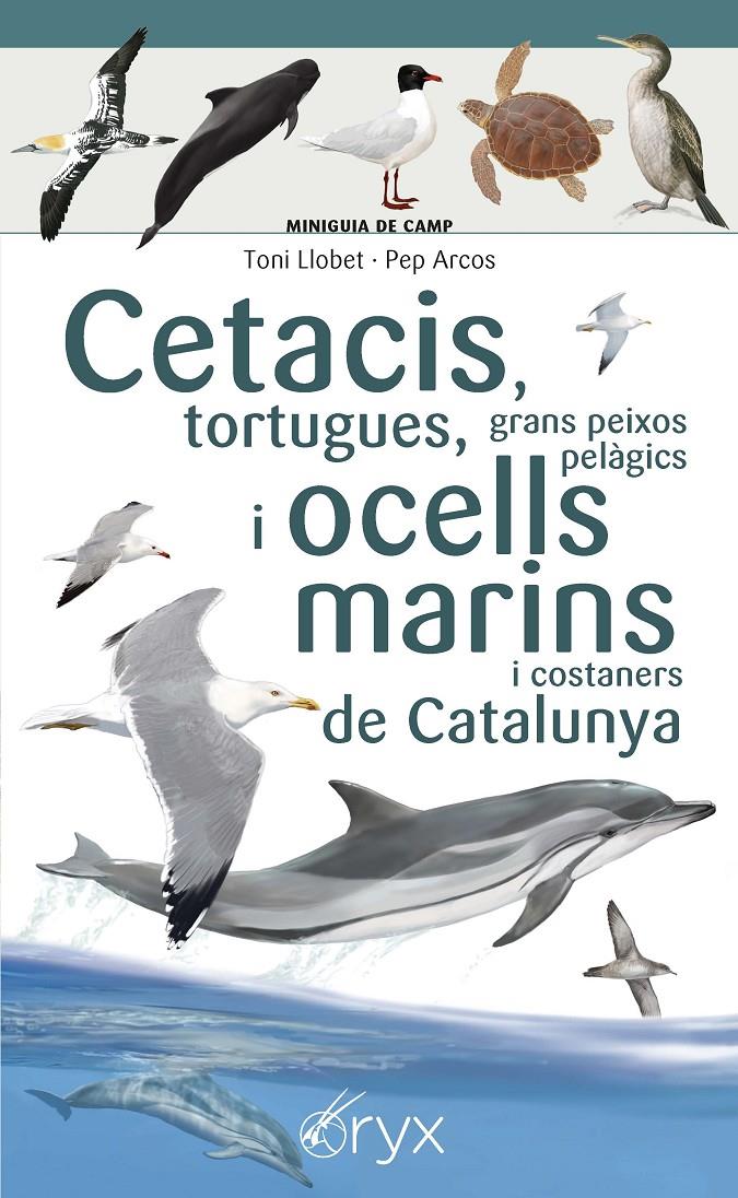 Cetacis, tortugues, grans peixos pelàgics i ocells marins de Catalunya | 9788490349441 | Llobet François , Toni/Arcos xx, Pep