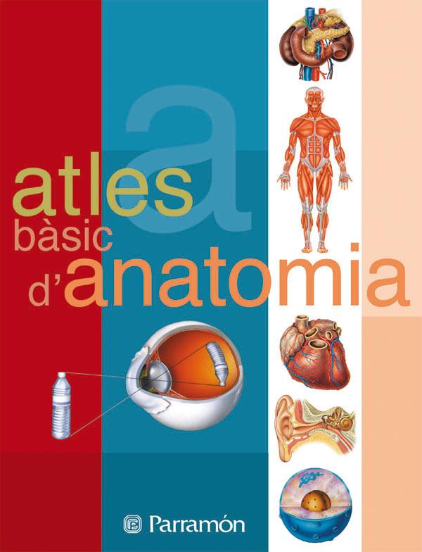 ATLES BASIC D'ANATOMIA | 9788434223134 | Cassan, Adolfo/Muñoz Tenllado, Antonio