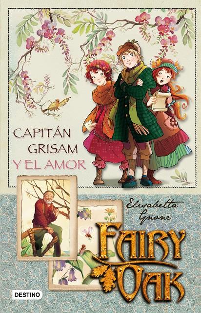 Fairy Oak. Capitán Grisam y el amor | 9788408087274 | Elisabetta Gnone