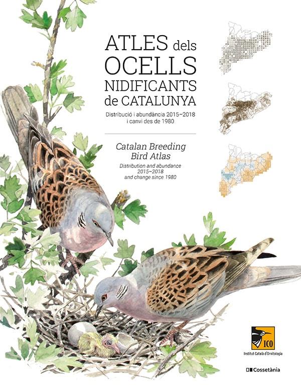 Atles dels ocells nidificants de Catalunya | 9788413560939 | autors, Diversos