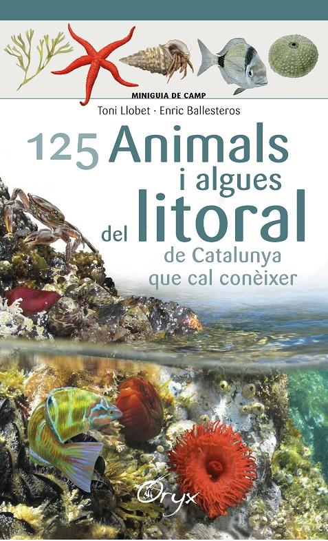 125 animals i algues del litoral de Catalunya | 9788490347416 | Ballesteros Sagarra, Enric