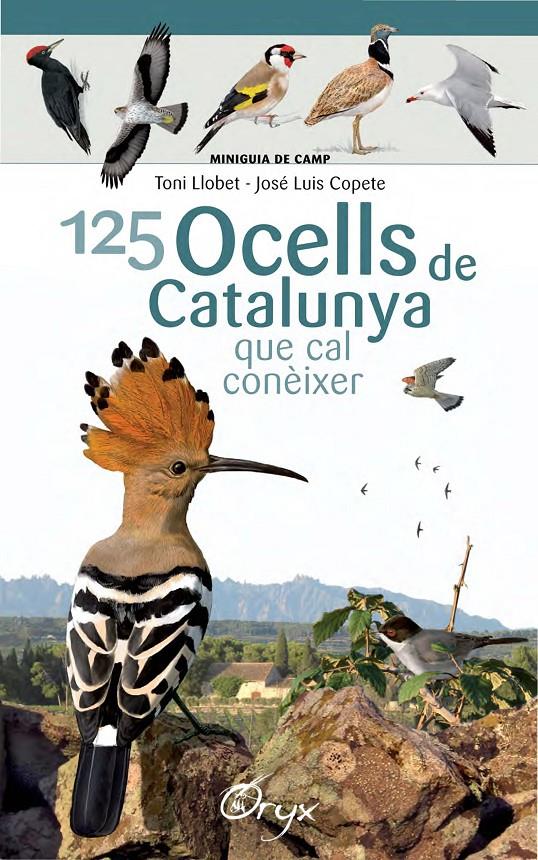 125 ocells de Catalunya | 9788490346747 | Llobet François, Toni/Copete, José Luis