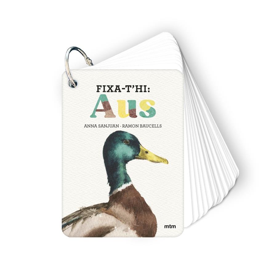 Fixa-t'hi: aus | 9788410407640 | Sanjuan Llorens, Anna/Baucells Colomer, Ramon