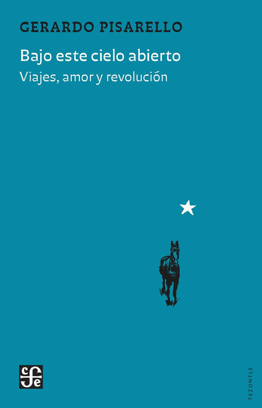 Bajo este cielo abierto | 9788437508573 | Pisarello Prados, Gerardo