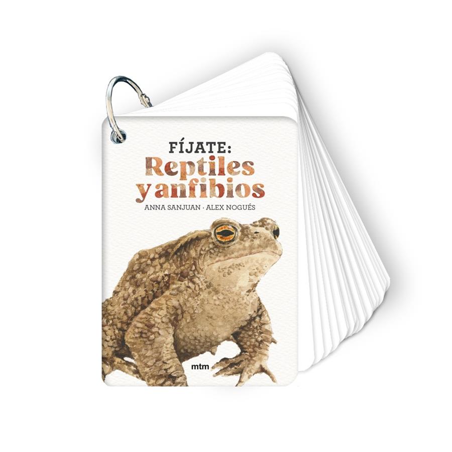 Fíjate: reptiles y anfibios | 9788410407596 | Sanjuan Llorens, Anna/Nogués, Alex