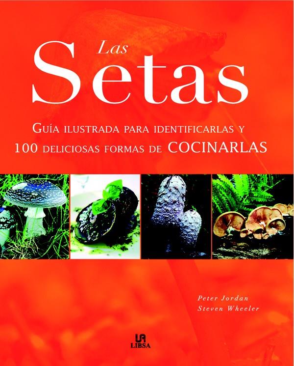 Las Setas | 9788466217507 | Jordan, Peter/Wheeler, Steven