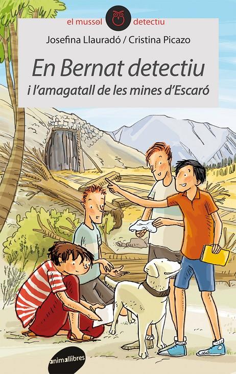 En Bernat detectiu i l'amagatall de les mines d'Escaró | 9788415095996 | Llauradó Senar, Josefina