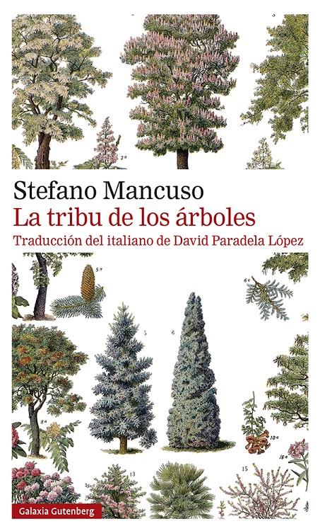 La tribu de los árboles | 9788419392510 | Mancuso, Stefano