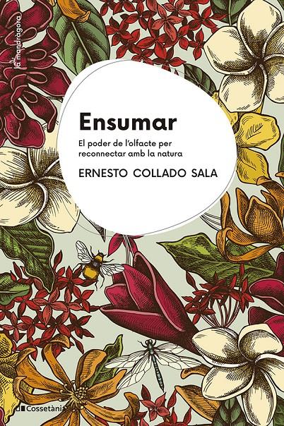 Ensumar | 9788413564968 | Collado Sala, Ernesto