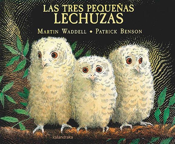 Las tres pequeñas lechuzas | 9788484643180 | Waddell, Martin