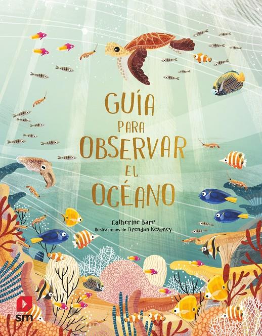 GUÍA PARA OBSERVAR EL OCÉANO | 9788413923642 | Barr, Catherine