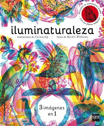 ILUMINATURALEZA | 9788467589955 | Williams, Rachel