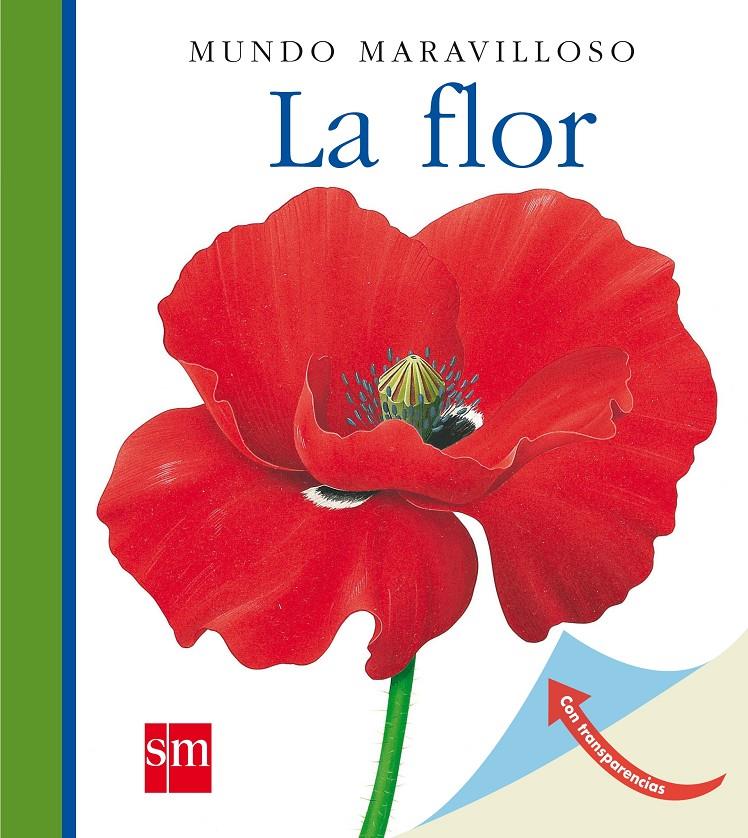 MUM. 5 LA FLOR(N) | 9788467531459 | Mettler, René