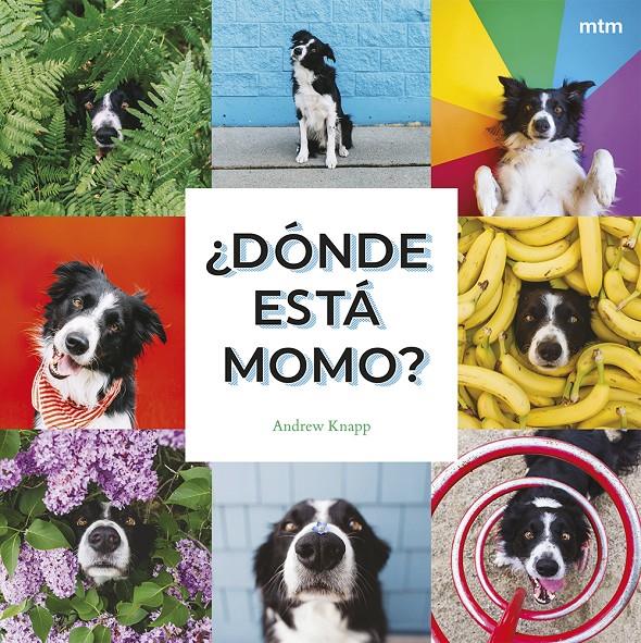 ¿Dónde está Momo? | 9788410407909 | Knapp, Andrew