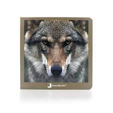 ANIMALES SALVAJES 2 | 9788412171051 | VVAA