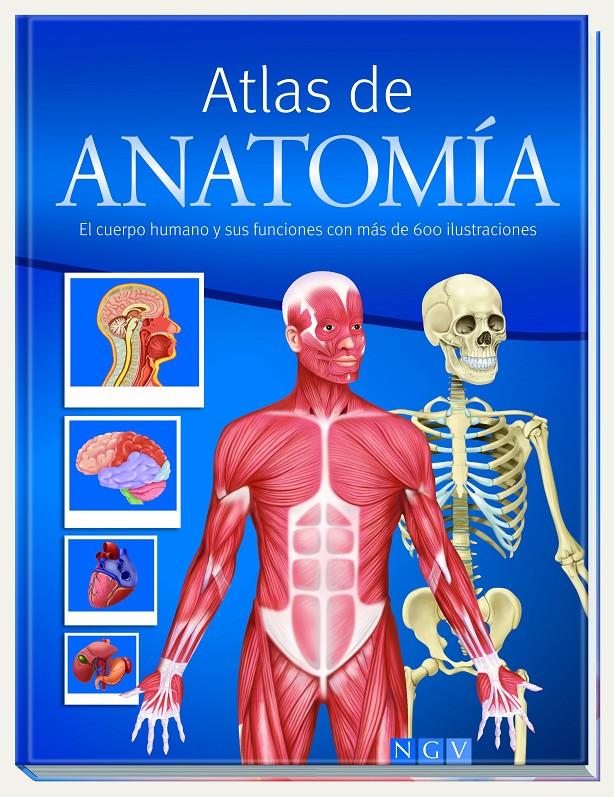 Atlas de Anatomia | 9783625006114