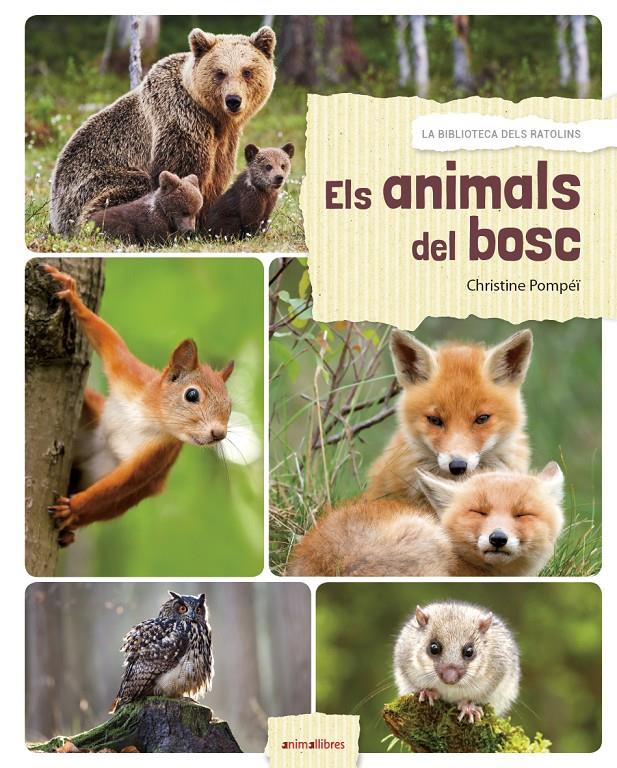 Els animals del bosc | 9788417599027 | Pompeï, Christine