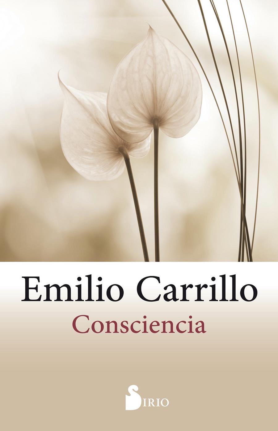 CONSCIENCIA | 9788416579938 | CARRILLO BENITO, EMILIO