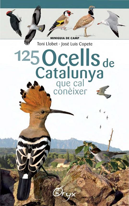 125 ocells de Catalunya | 9788490346747 | Llobet François, Toni/Copete, José Luis