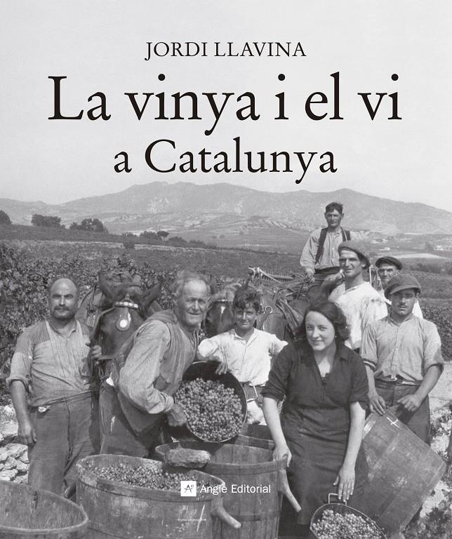 LA VINYA I EL VI A CATALUNYA | 9788416139187 | Jordi llavina