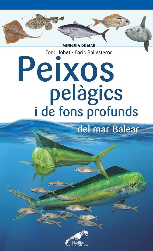 Peixos pelàgics i de fons profunds del mar Balear | 9788490349397 | Llobet François, Toni/Ballesteros Sagarra, Enric