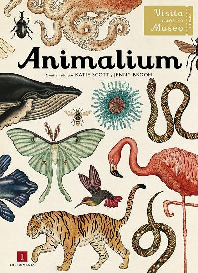 Animalium | 9788415979463 | Katie Scott y Jenny Broom