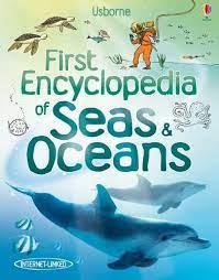 FIRST ENCYCLOPEDIA OF SEAS AND OCEANS | 9781409525073