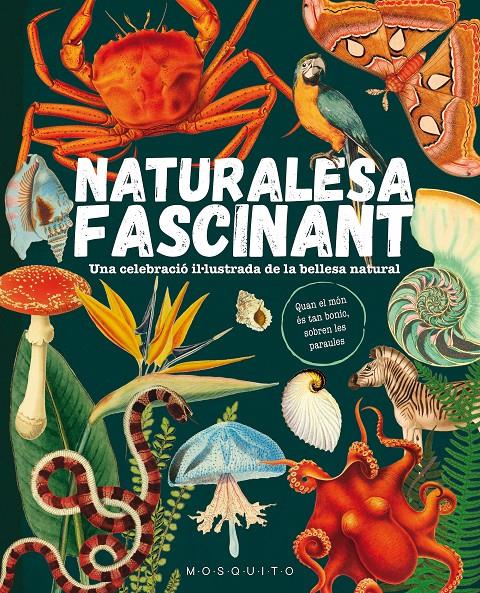 Naturalesa fascinant | 9788419095596 | Mosquito Books