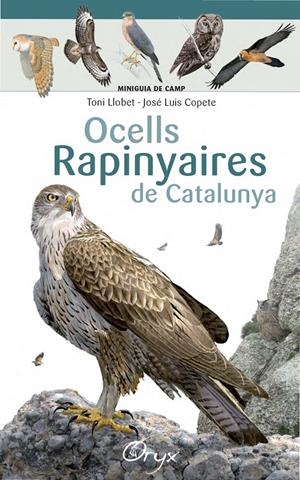 Ocells rapinyaires de Catalunya | 9788490346785 | Llobet François, Toni/Copete, José Luis