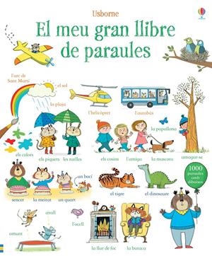 El meu gran llibre de paraules | 9781474916660 | Mackinnon, Mairi/Wood, Hannah