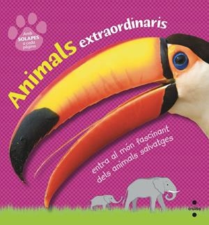 C-ANIMALS EXTRAORDINARIS | 9788466145138 | Dorling Kindersley , Equipo Editorial