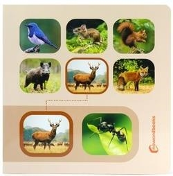 Busca y encuentra animales del bosque | 9788412906806 | NOWORDBOOKS