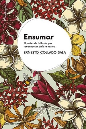 Ensumar | 9788413564968 | Collado Sala, Ernesto