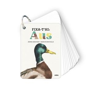 Fixa-t'hi: aus | 9788410407640 | Sanjuan Llorens, Anna/Baucells Colomer, Ramon