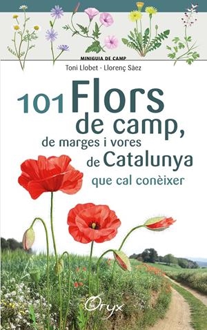 101 flors de camp, de marges i vores de Catalunya | 9788490348413 | Llobet François , Toni/Sàez Goñalons , Llorenç