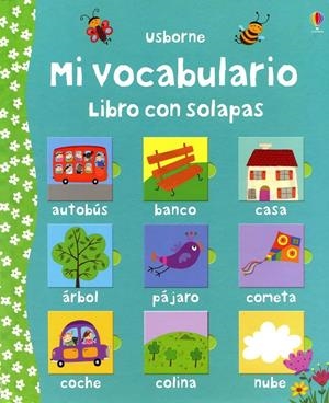 Mi vocabulario | 9781409527138 | Brooks, Felicity