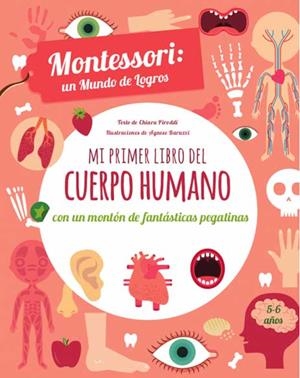 MI PRIMER LIBRO DEL CUERPO HUMANO (VVKIDS) | 9788468250595 | Piroddi, Chiara