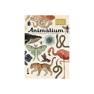 Animàlium CAT | 9788415315223 | Katie Scott i Jenny Broom