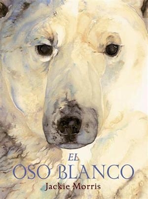 El oso blanco | 9788489825741 | Morris, Jackie