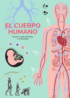 EL CUERPO HUMANO (VVKIDS) | 9788468268354 | Peraboni, Cristina