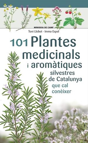 101 Plantes medicinals i aromàtiques silvestres de Catalunya | 9788413562209 | Espel, Imma/Llobet François, Toni