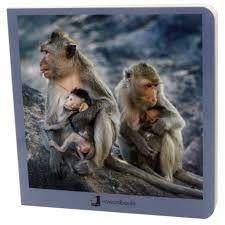 Animales en familia 2 | 9788494810367 | AA.VV.